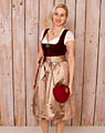 "Anger" Samt Dirndl mit Schürze