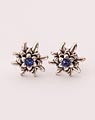 "Edelweiss" earrings with blue stone